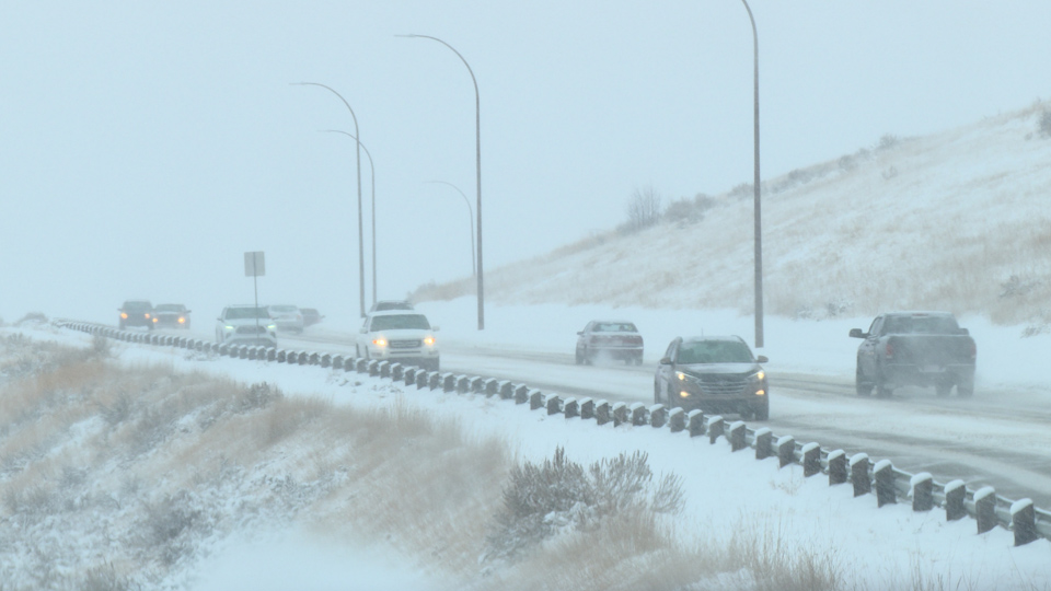 Rogers tv Community News