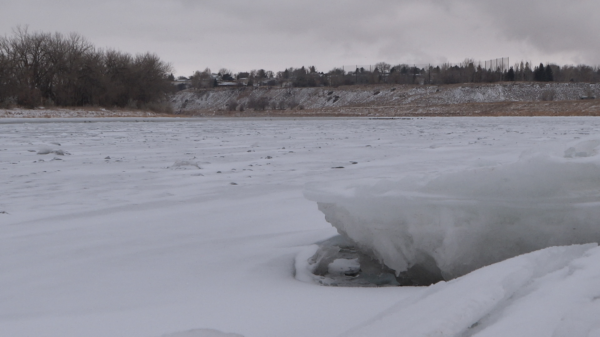 Rogers tv Community News