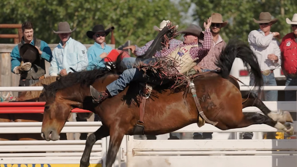 Rogers tv Community News