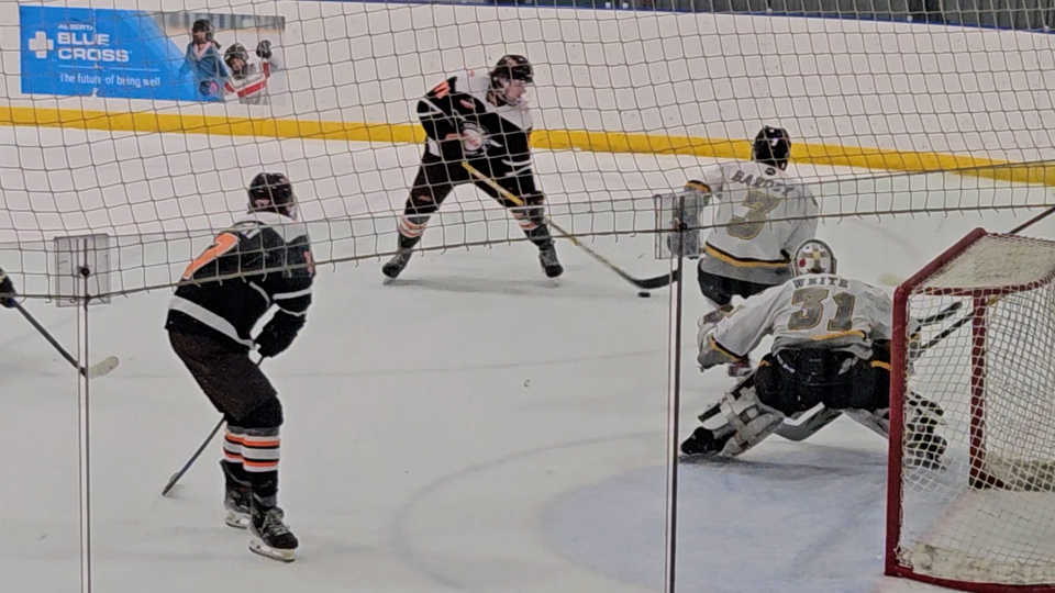 Rogers tv Community News