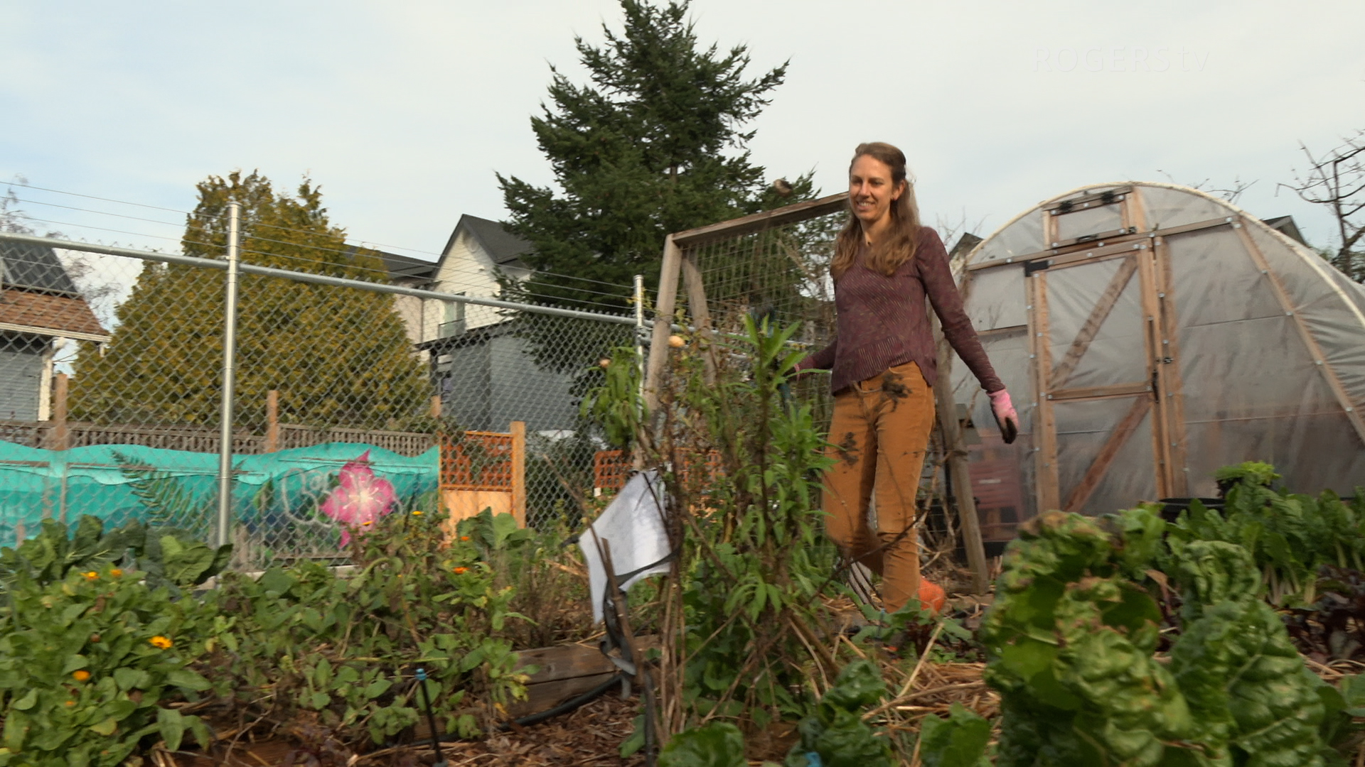 Rogers tv Community News