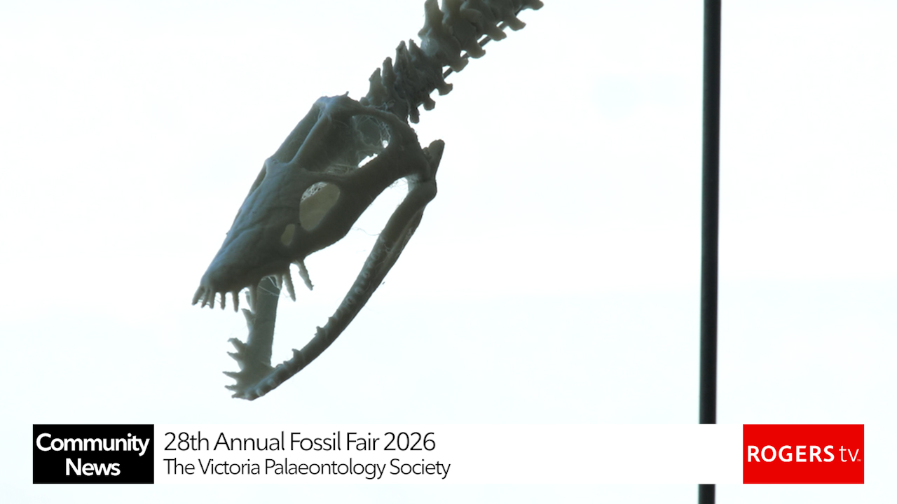 Rogers tv Community News