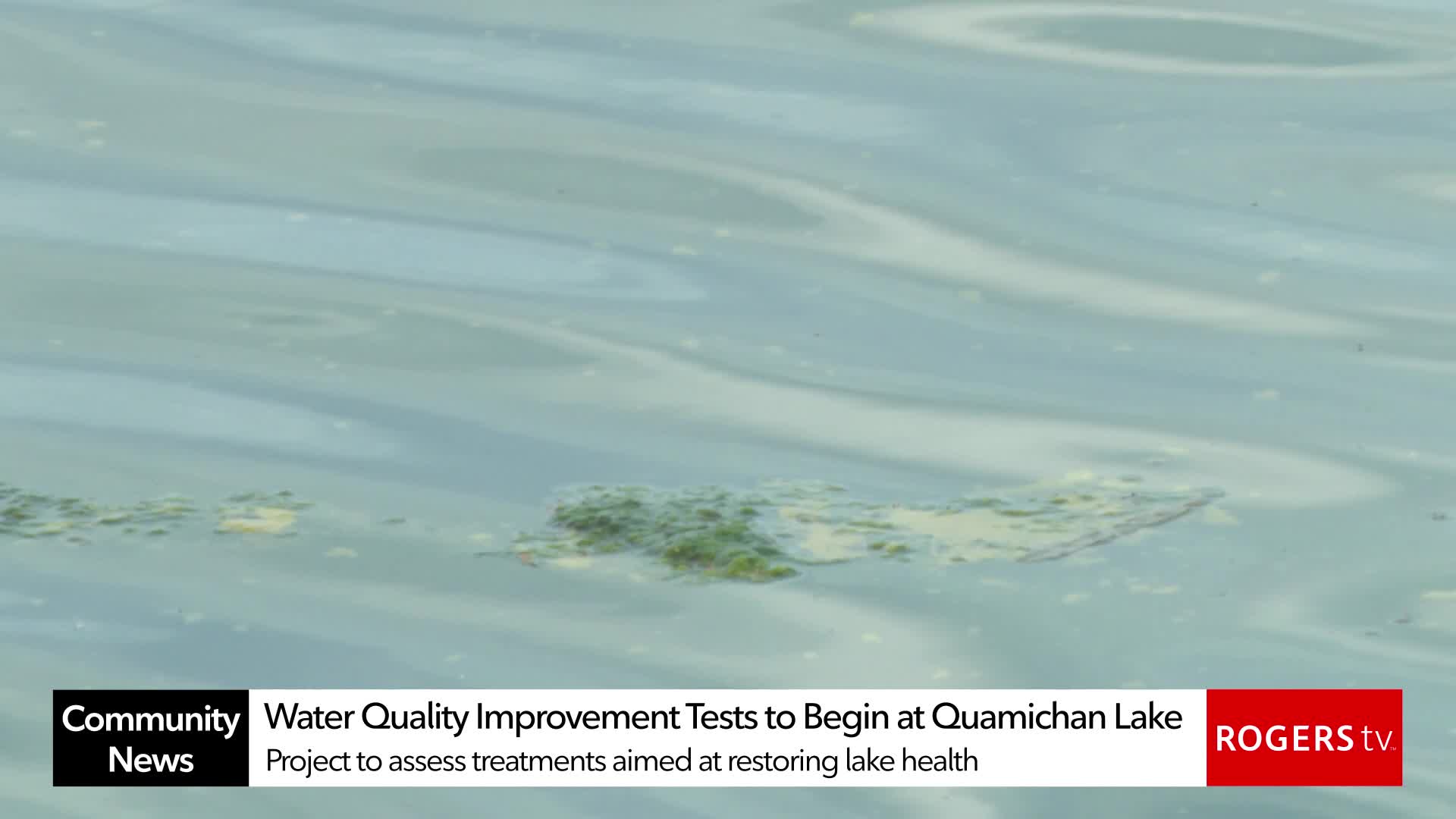 Rogers tv Community News