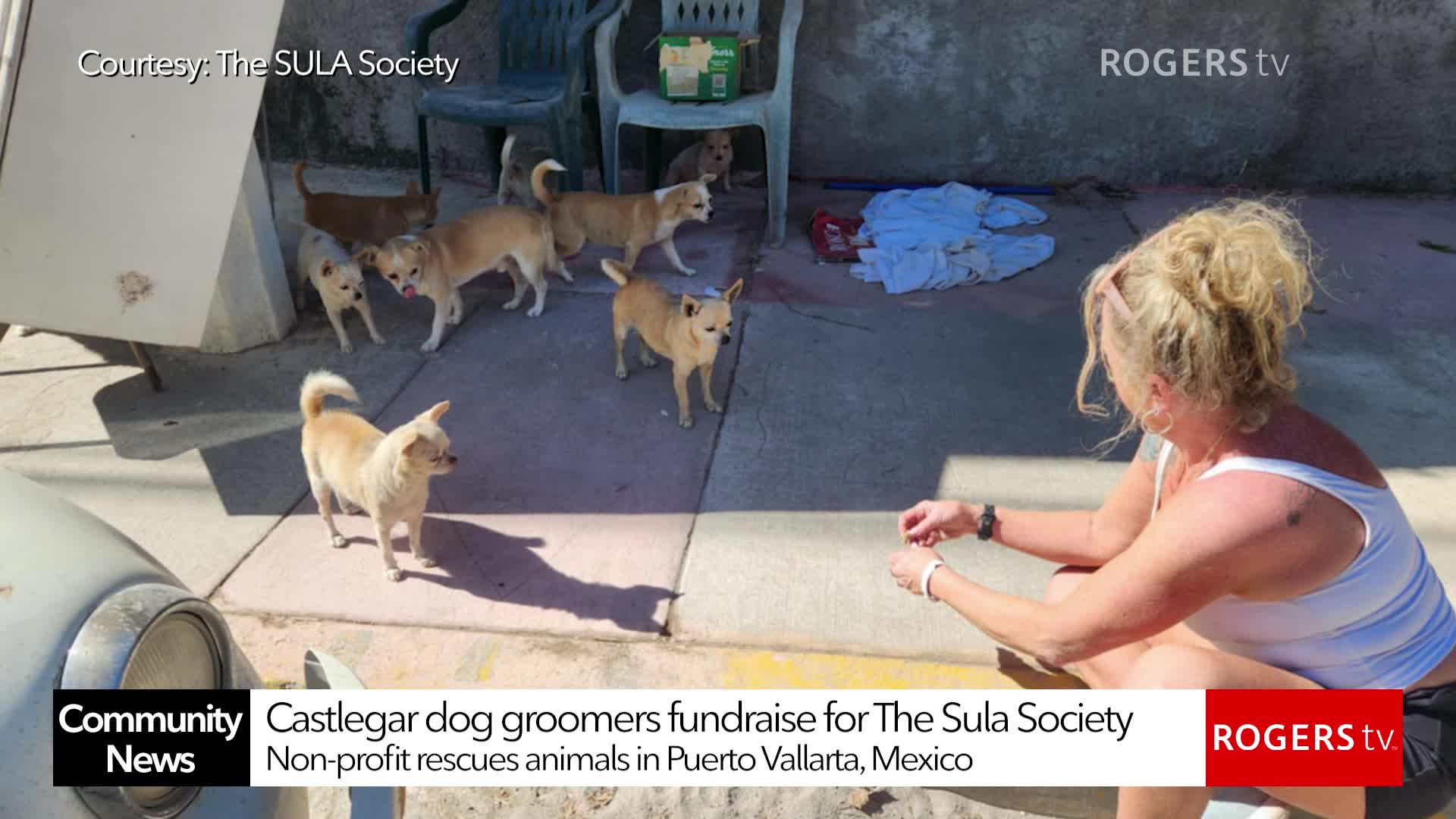 Rogers TV Community News