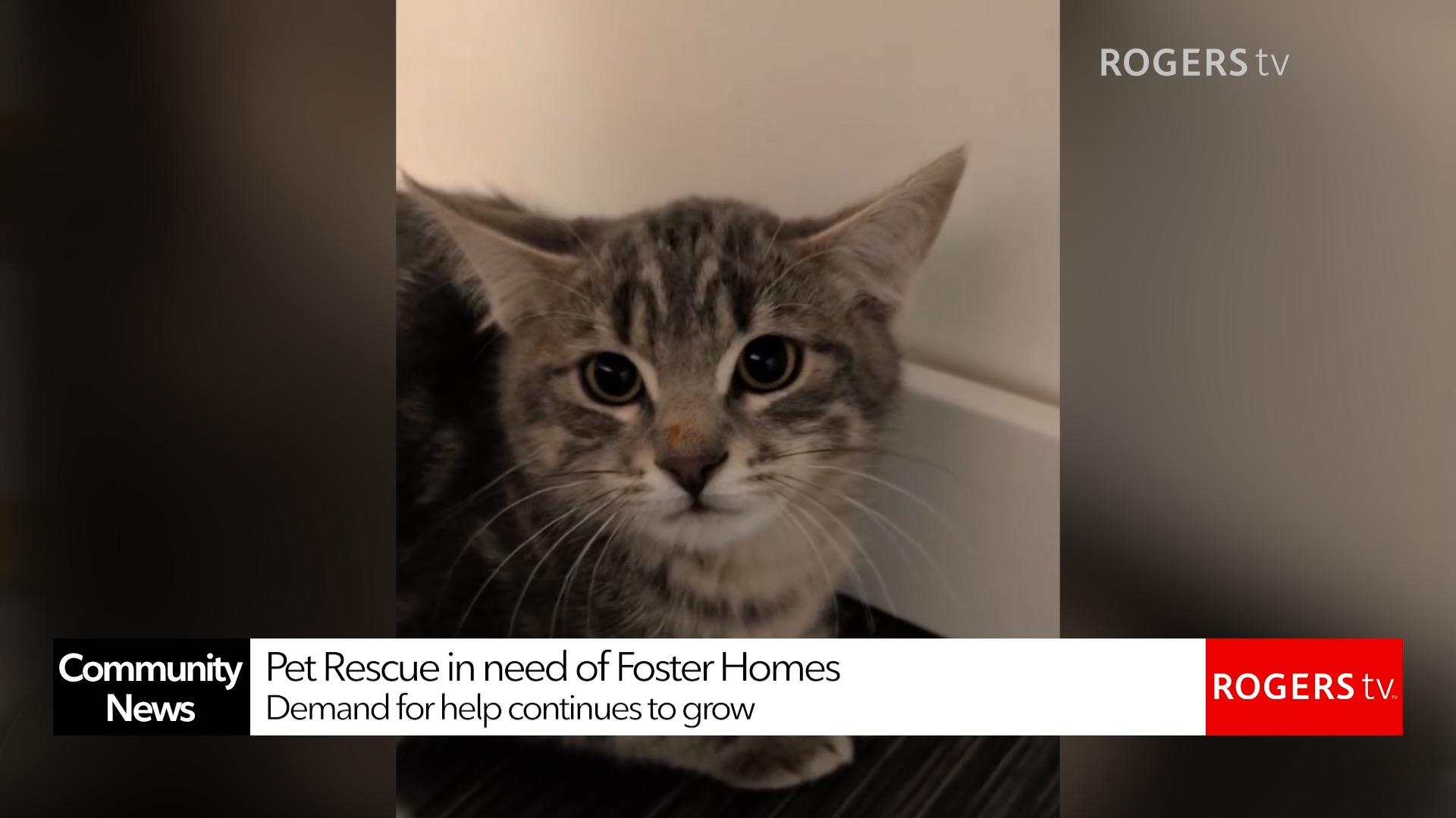 Rogers TV Community News