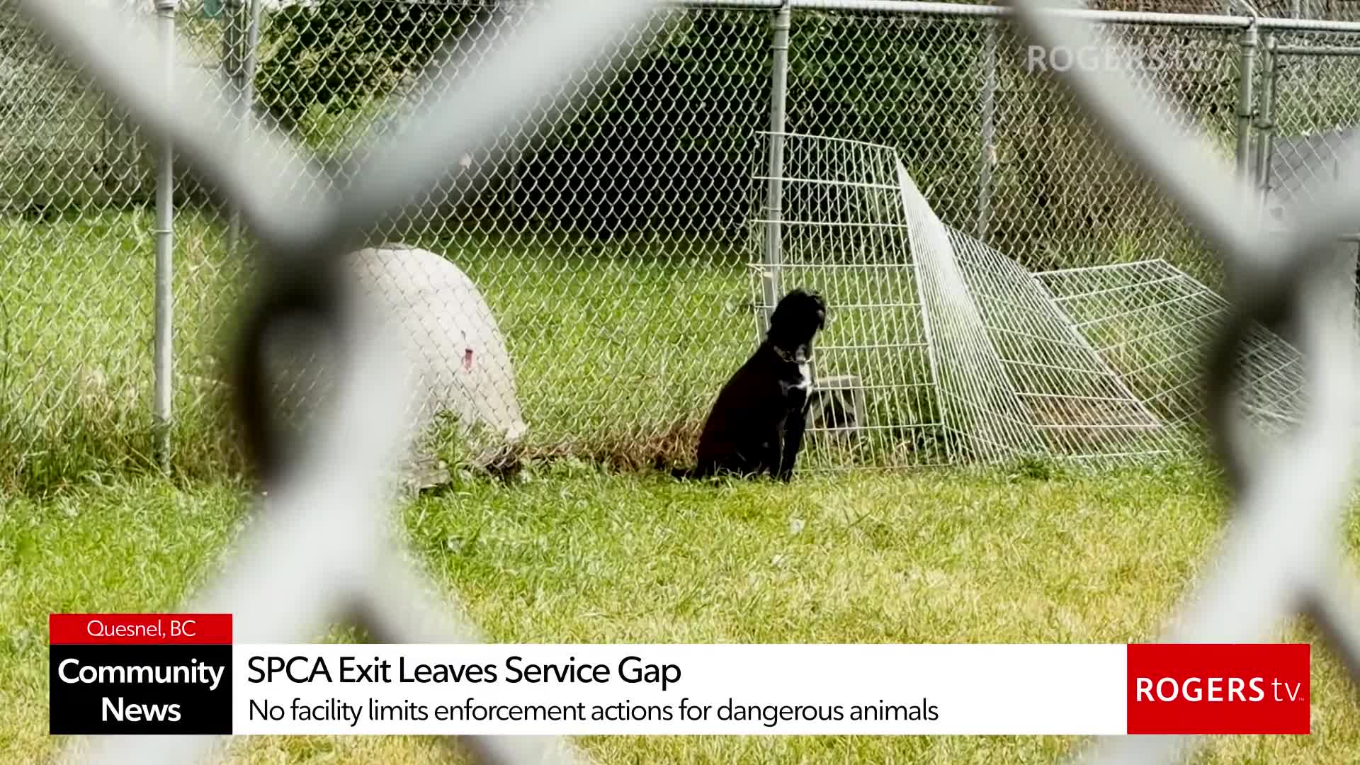Rogers tv Community News