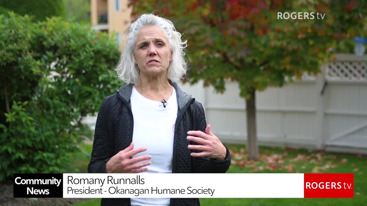 Rogers tv Community News