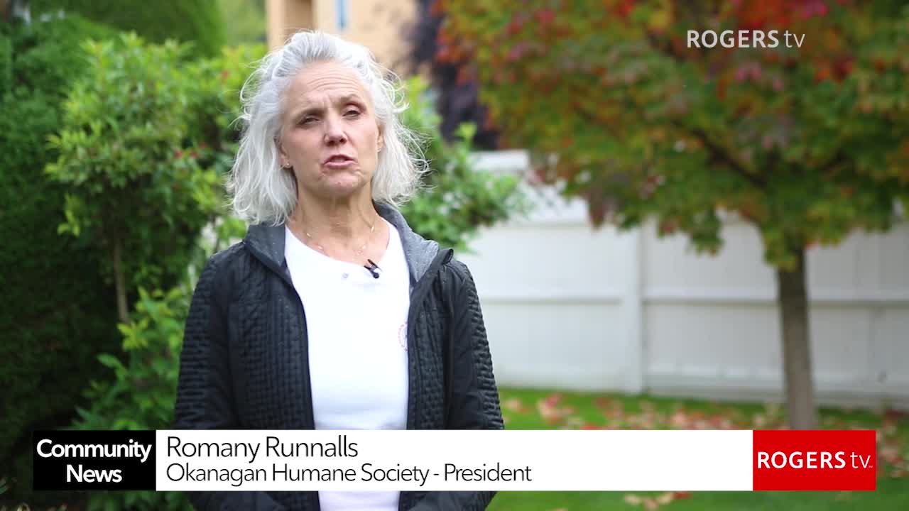 Rogers tv Community News