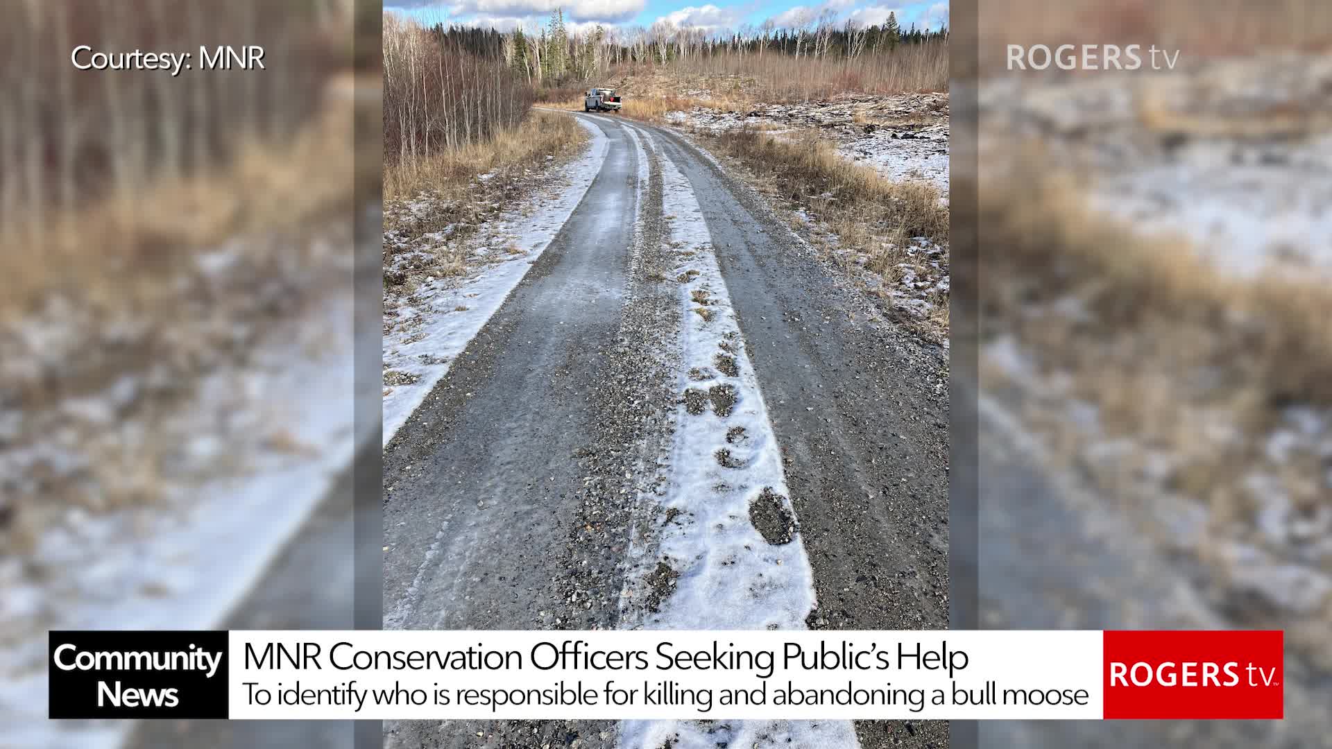 Rogers tv Community News