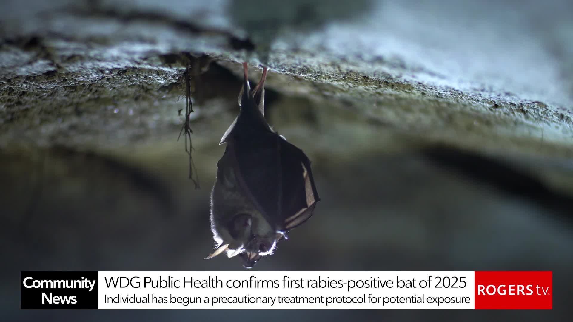 Rogers tv Community News