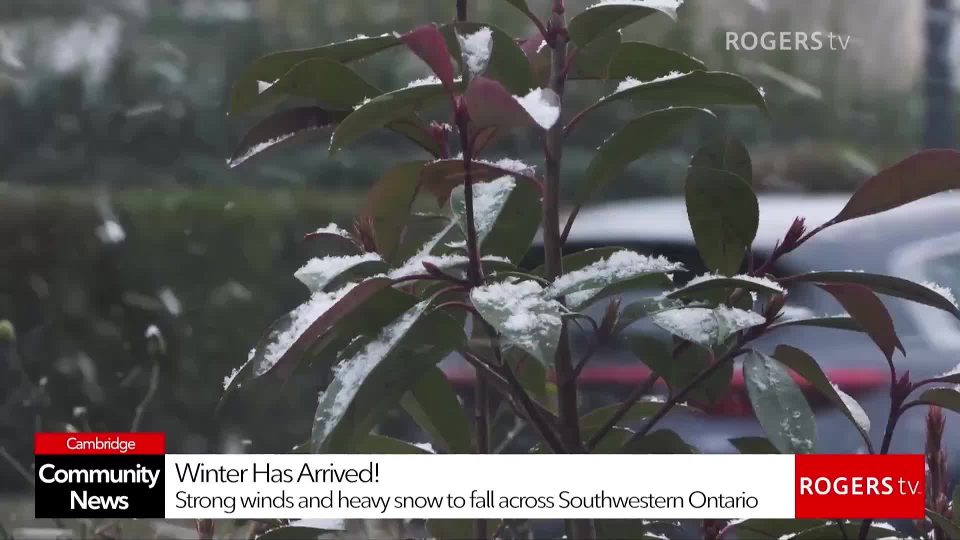 Rogers tv Community News