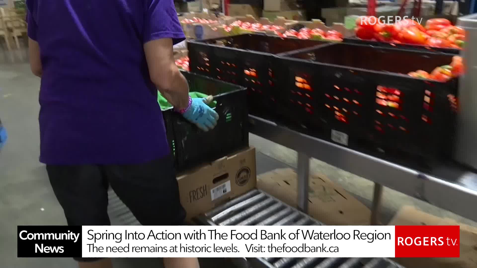 Rogers tv Community News