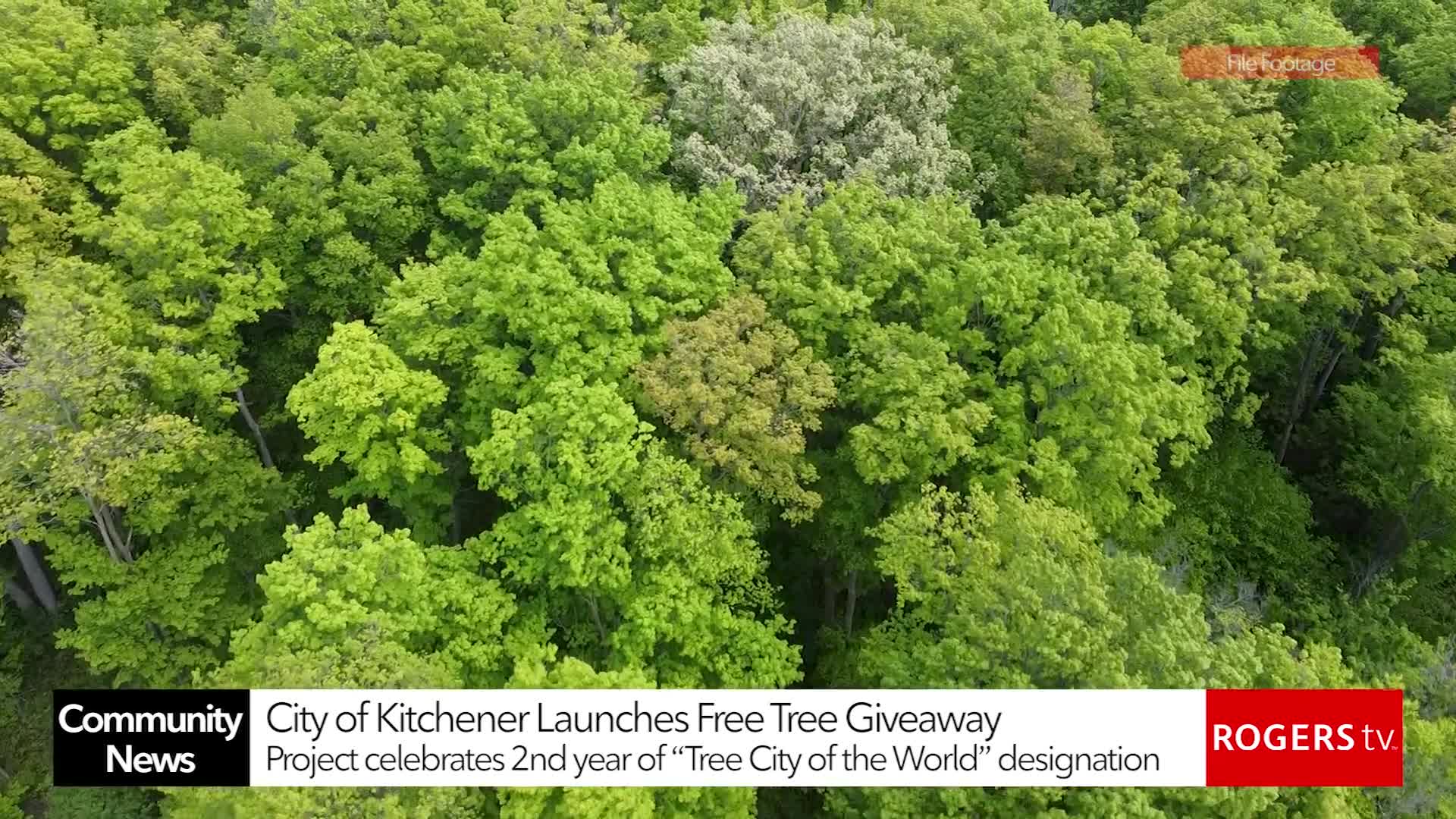 Rogers tv Community News