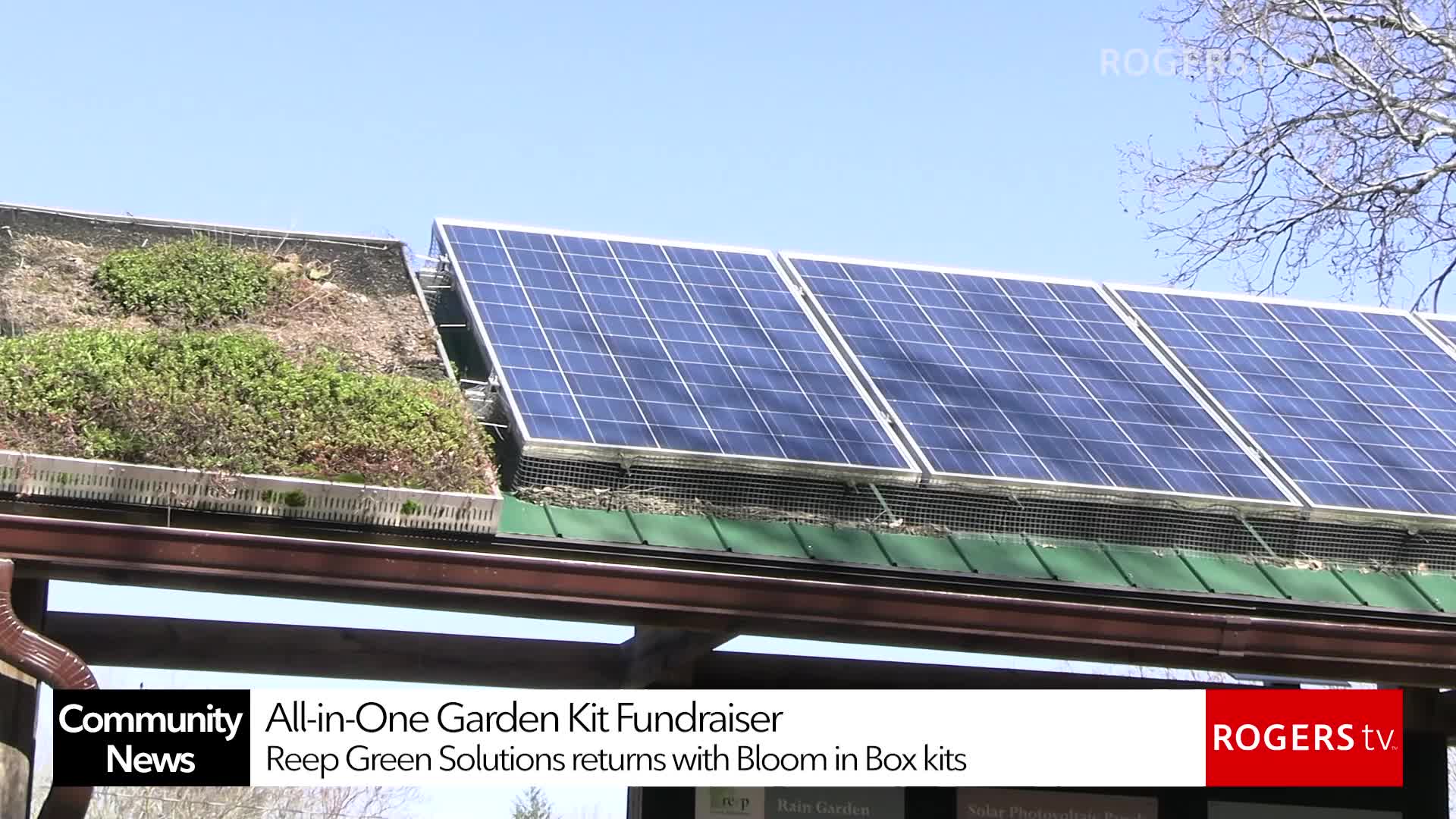 Rogers tv Community News