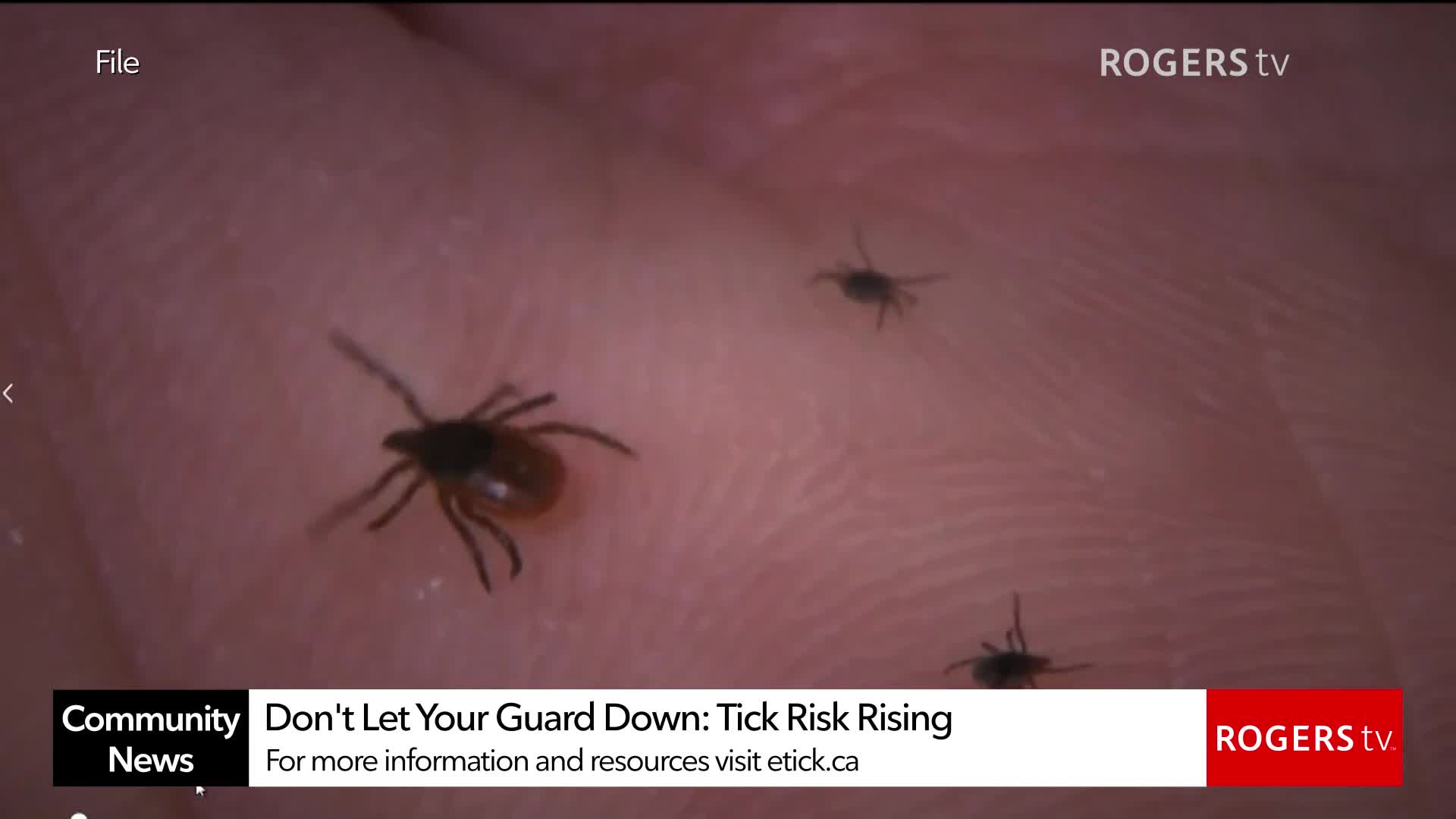 Rogers tv Community News