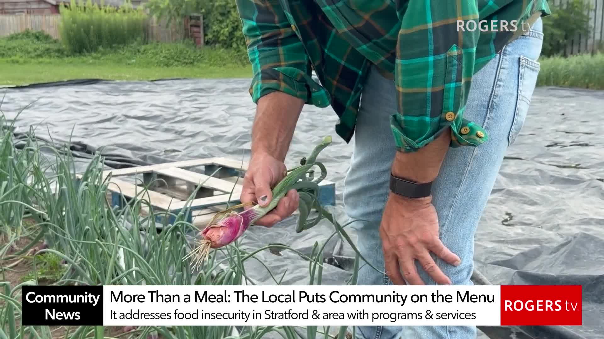 Rogers tv Community News