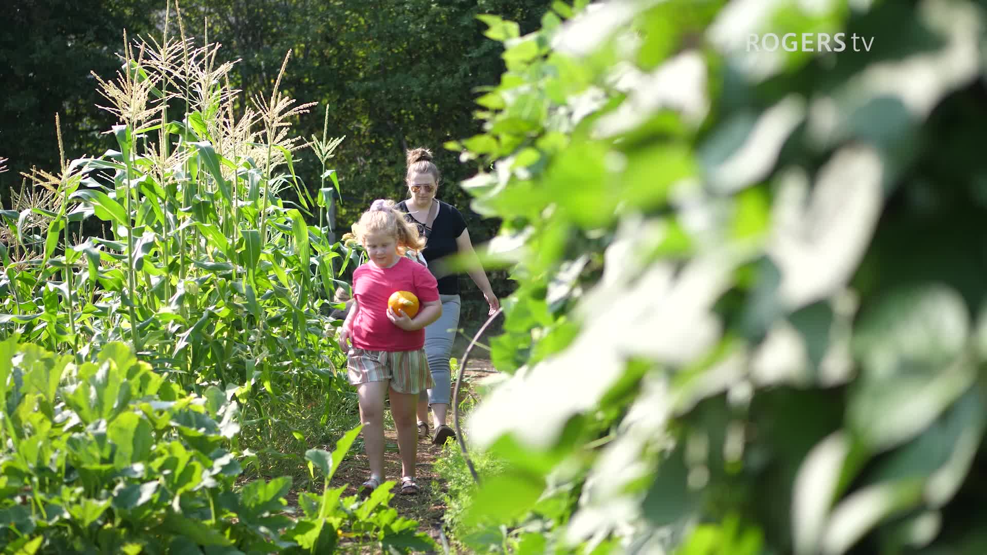 Rogers tv Community News