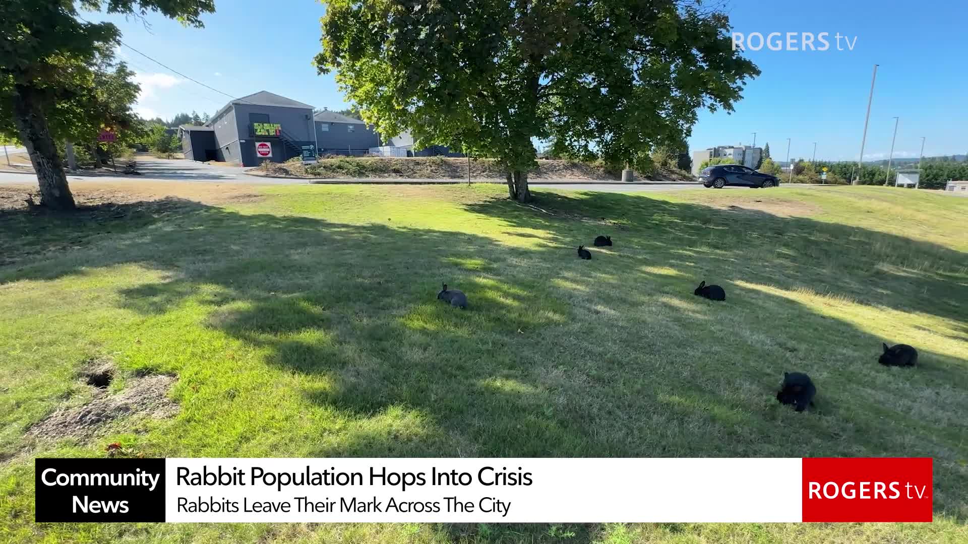 Rogers tv Community News