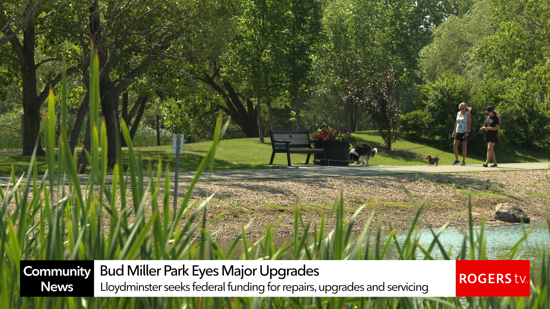 Rogers tv Community News
