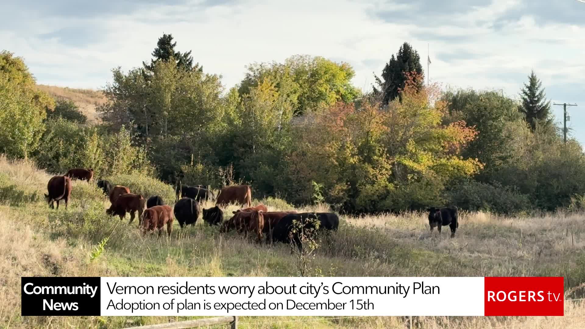 Rogers TV Community News