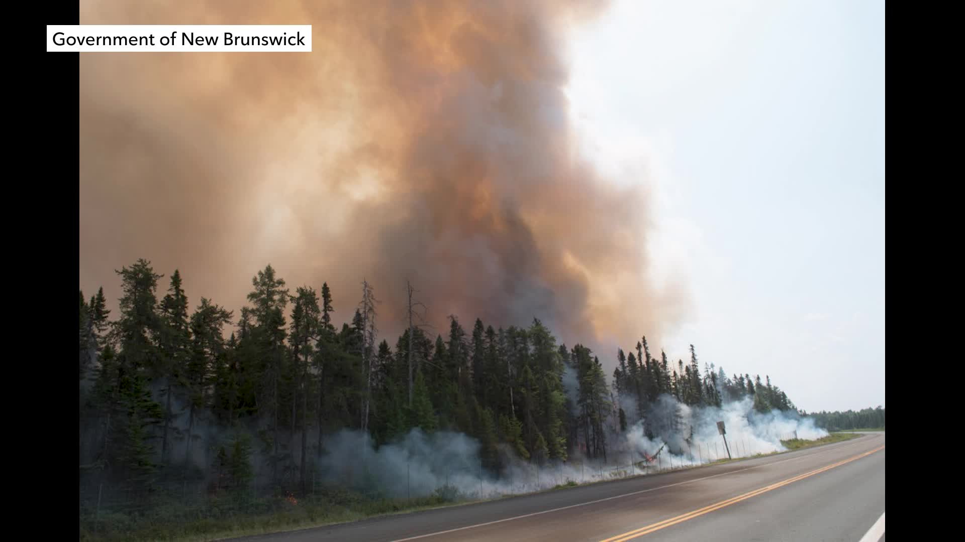 Rogers tv Community News