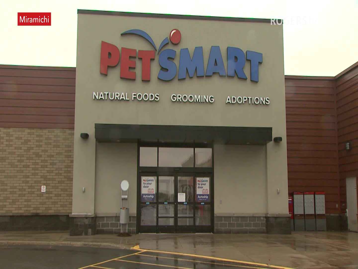 Rogers tv Community News