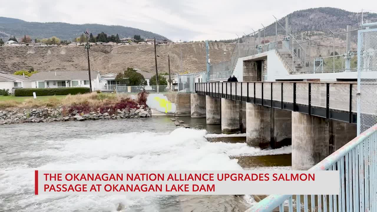 Rogers TV Community News