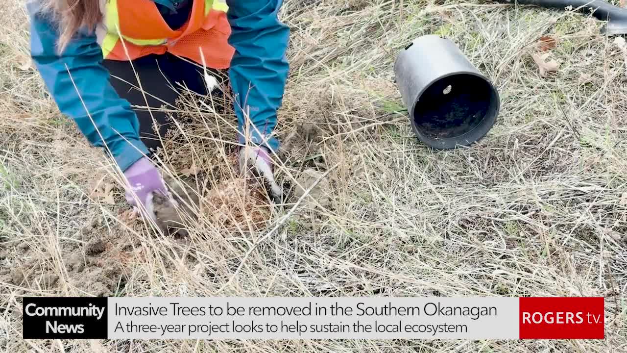 Rogers TV Community News