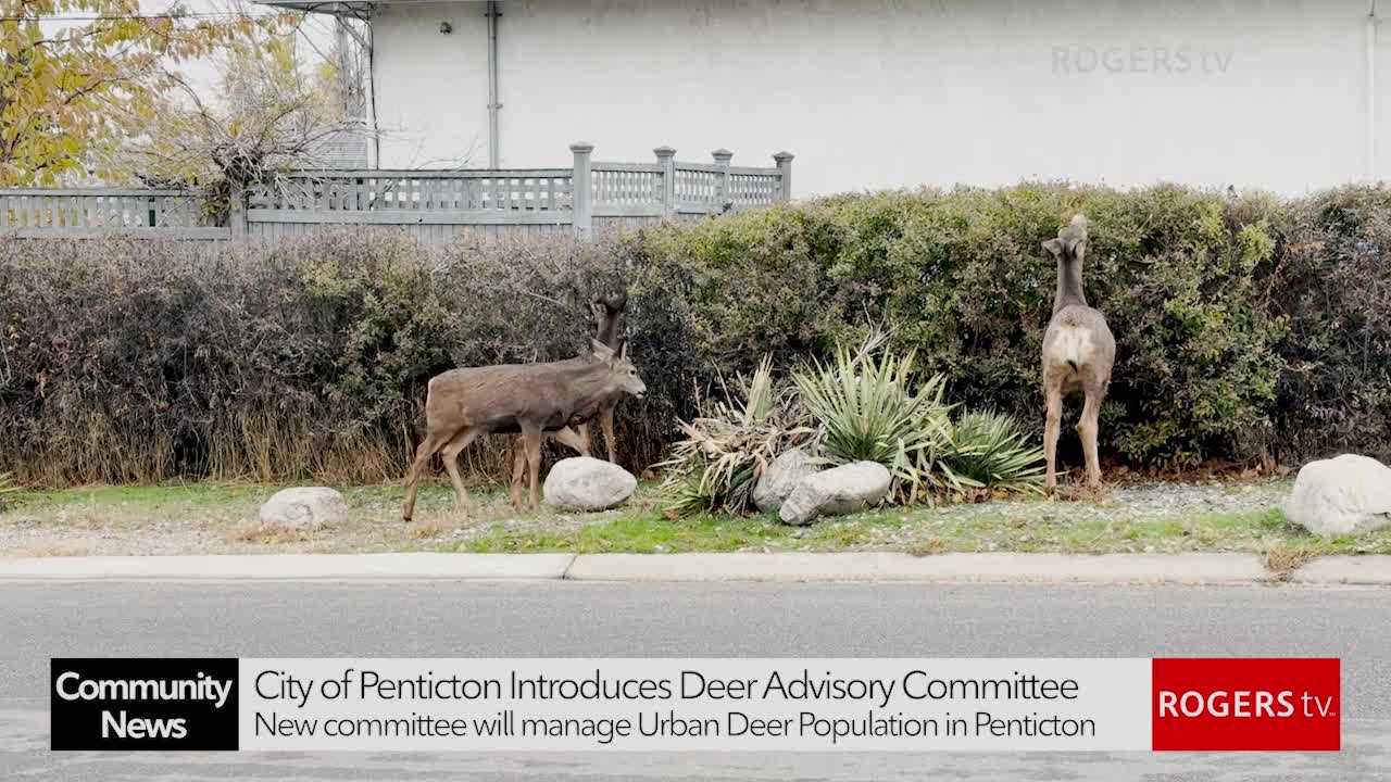 Rogers TV Community News