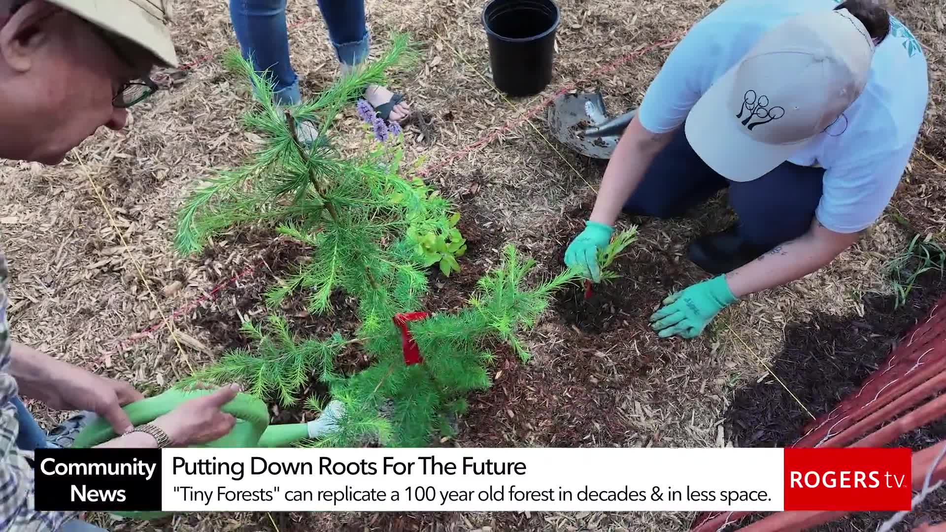 Rogers tv Community News