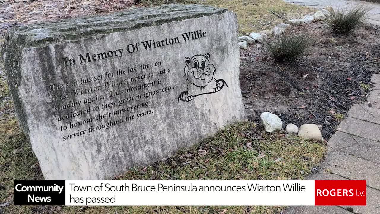 Rogers tv Community News