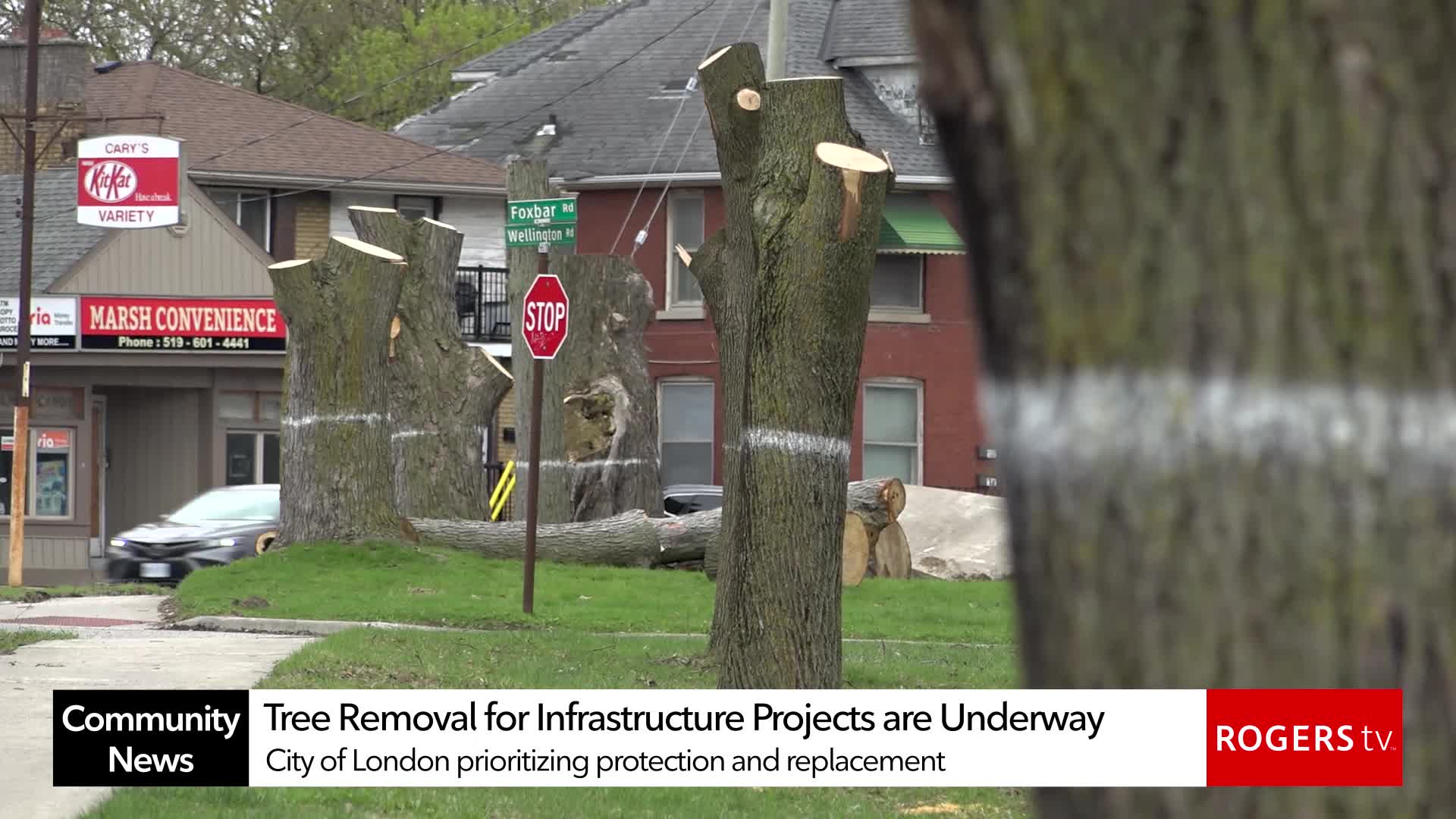 Rogers tv Community News