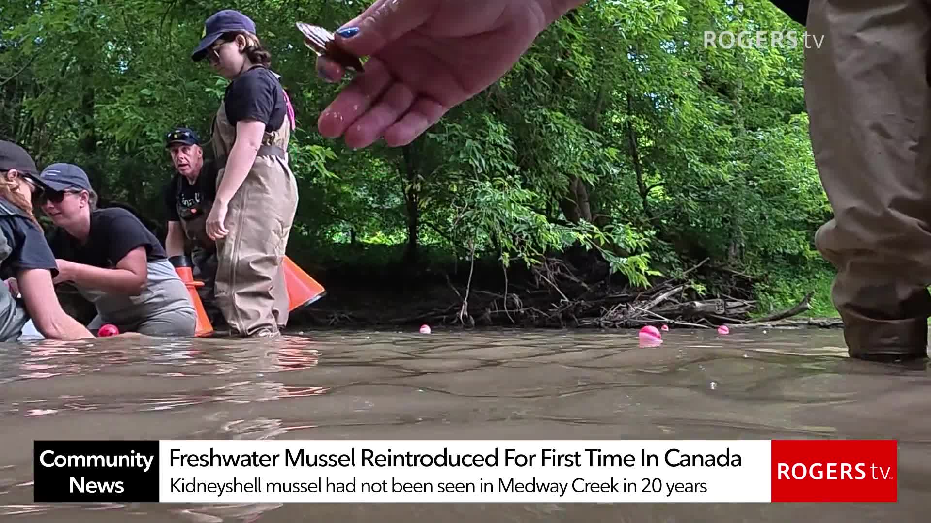 Rogers tv Community News