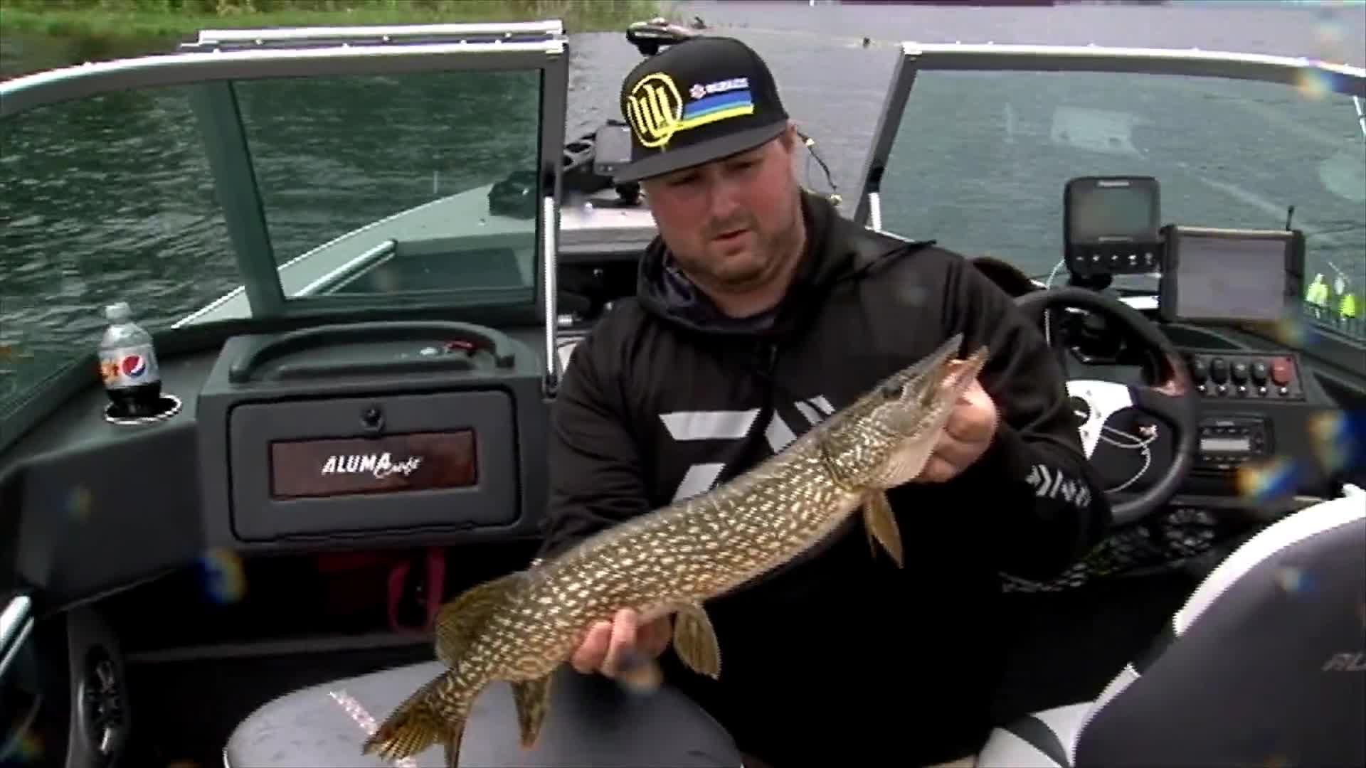 Need To Fish