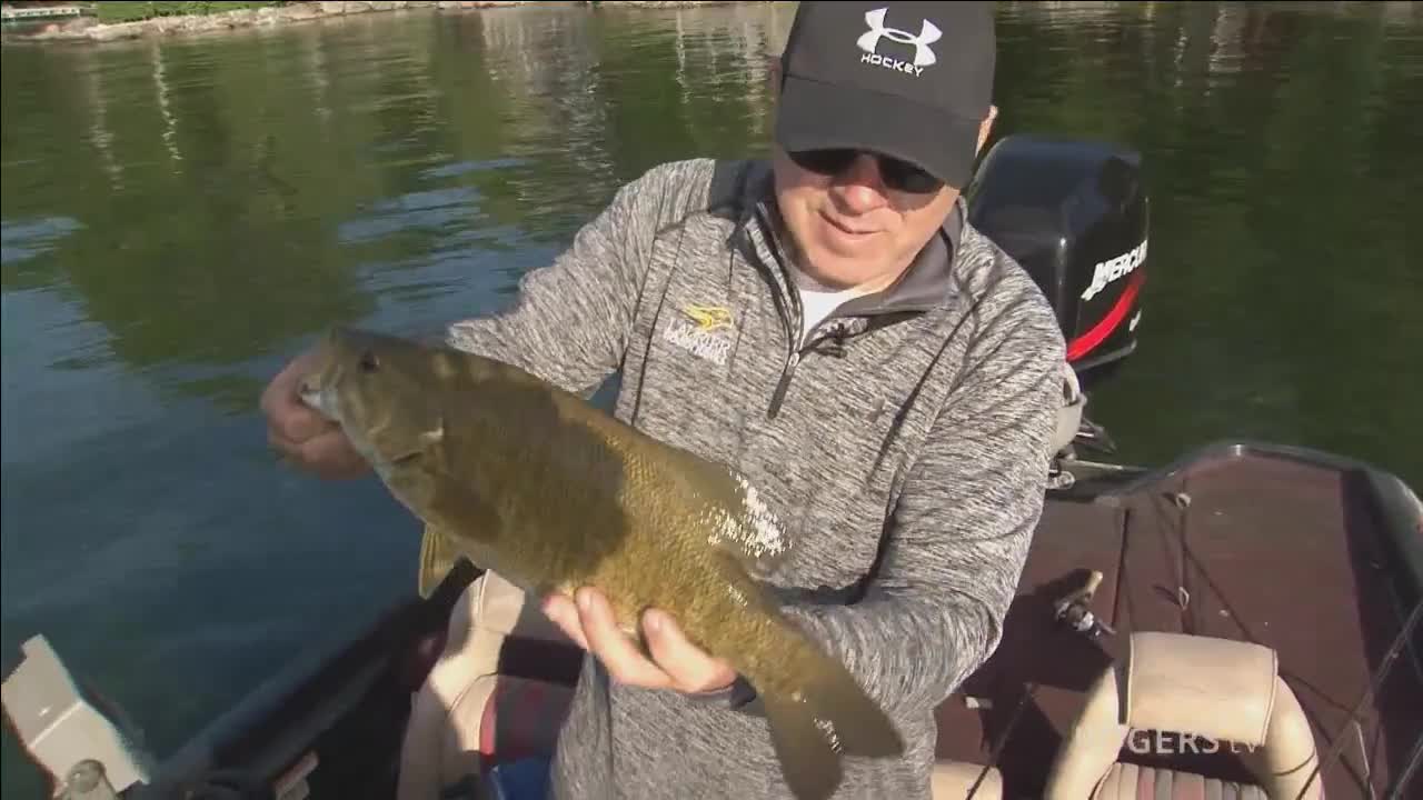 Need To Fish