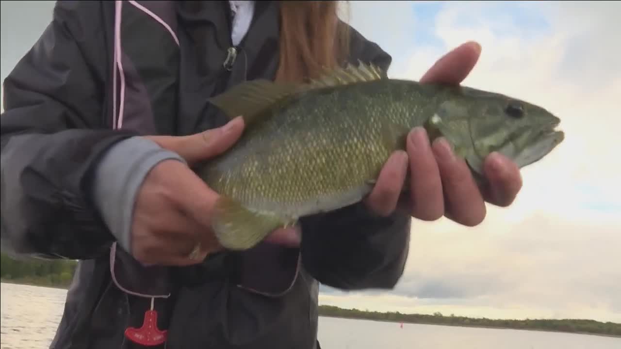 Need To Fish