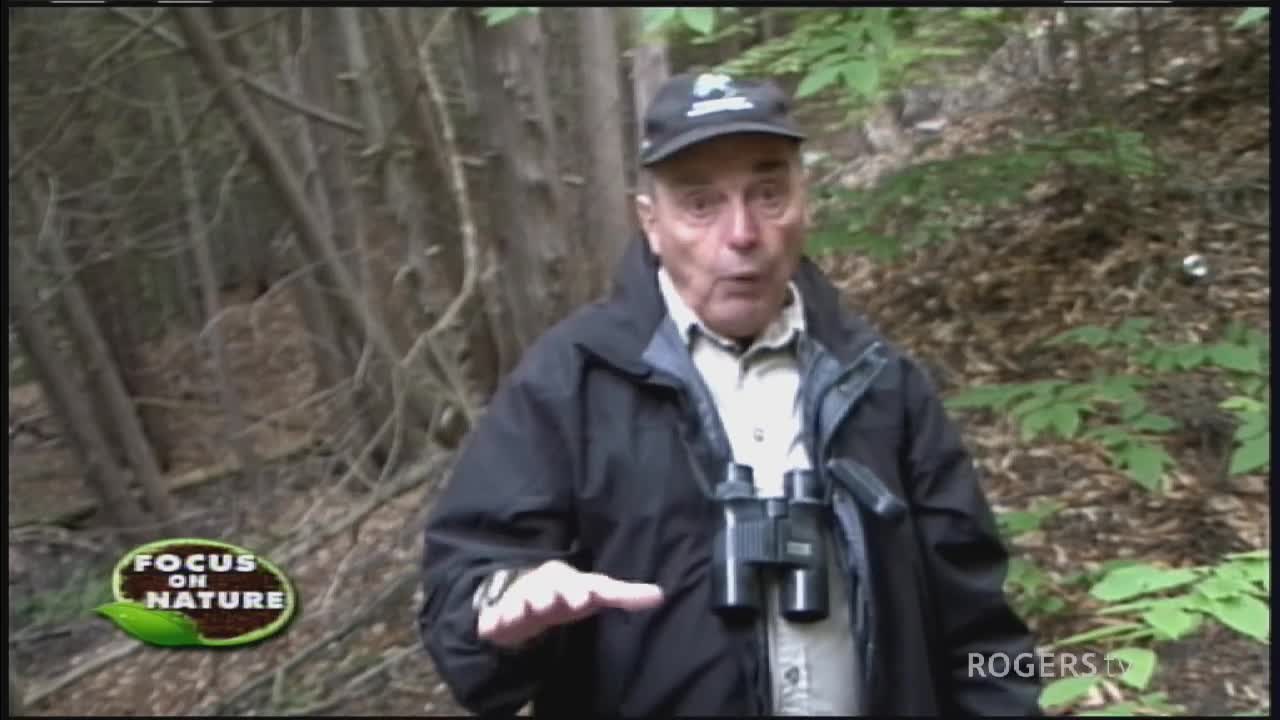 Focus On Nature With Bob Bowles