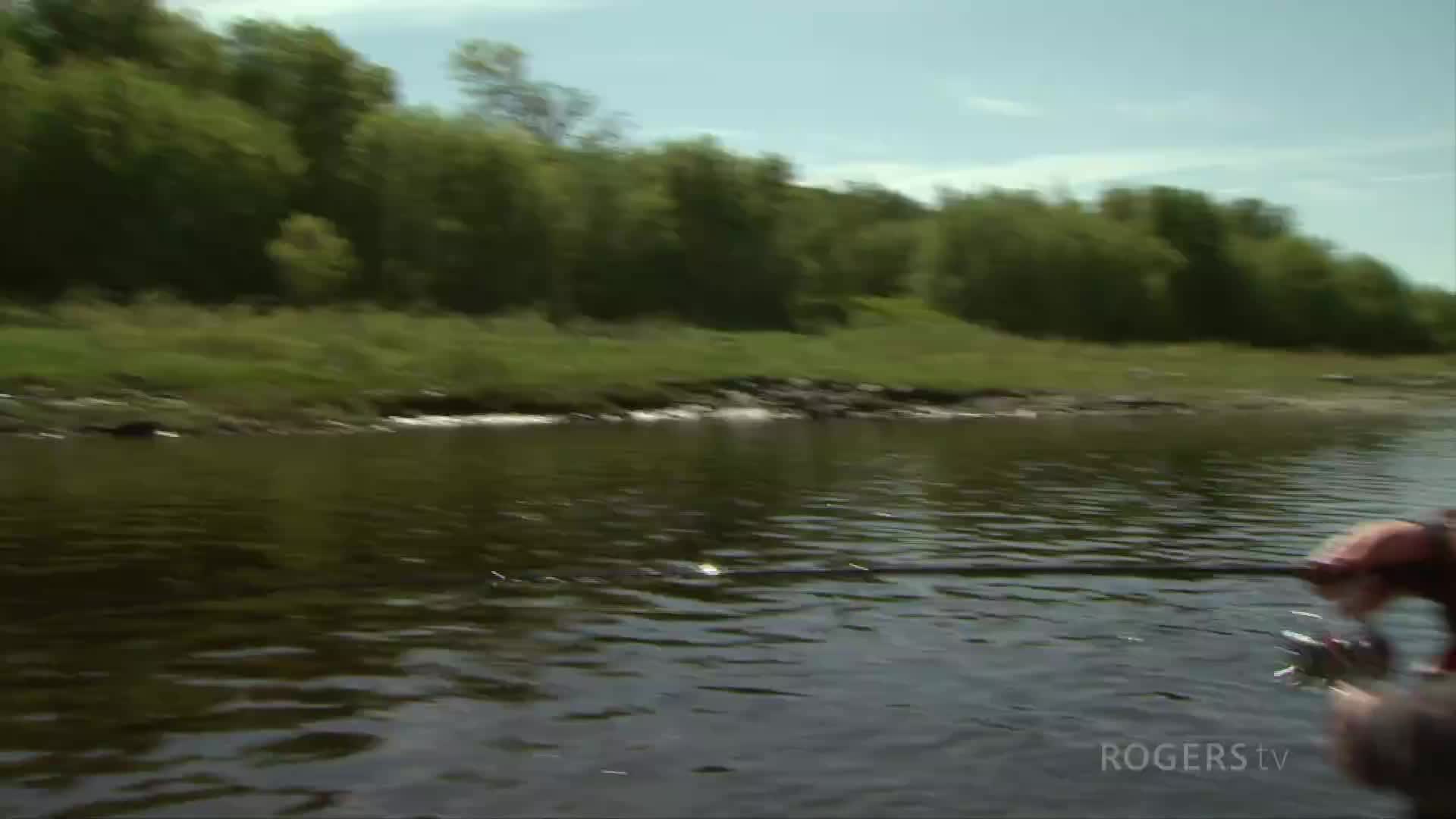 Backwater Casting