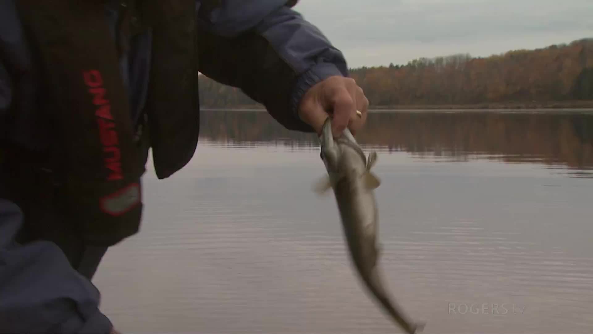 Backwater Casting