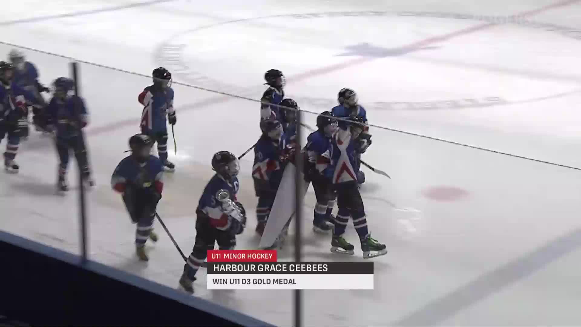 NL Minor Hockey Showcase