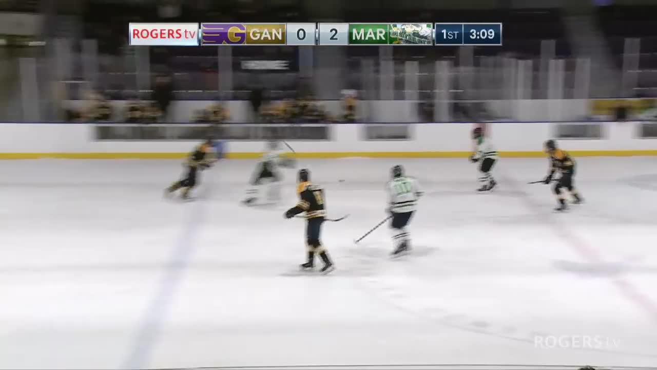 NL Minor Hockey Showcase