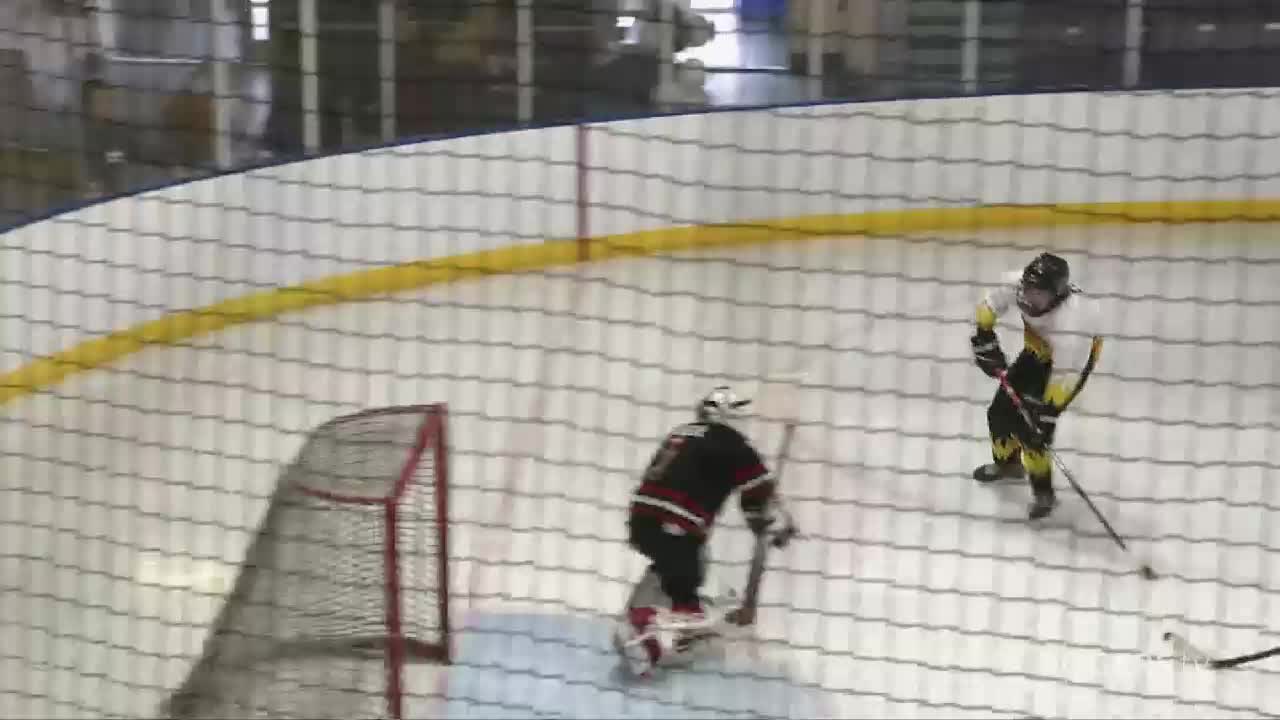 NL Minor Hockey Showcase