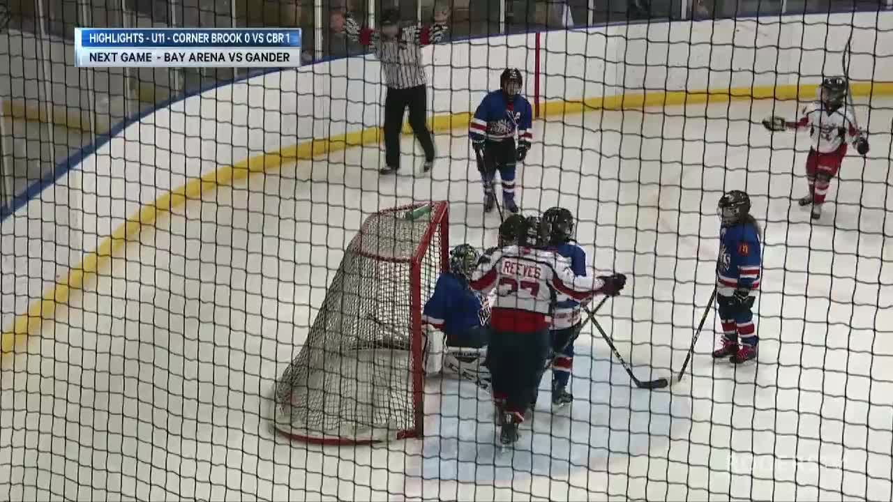 NL Minor Hockey Showcase