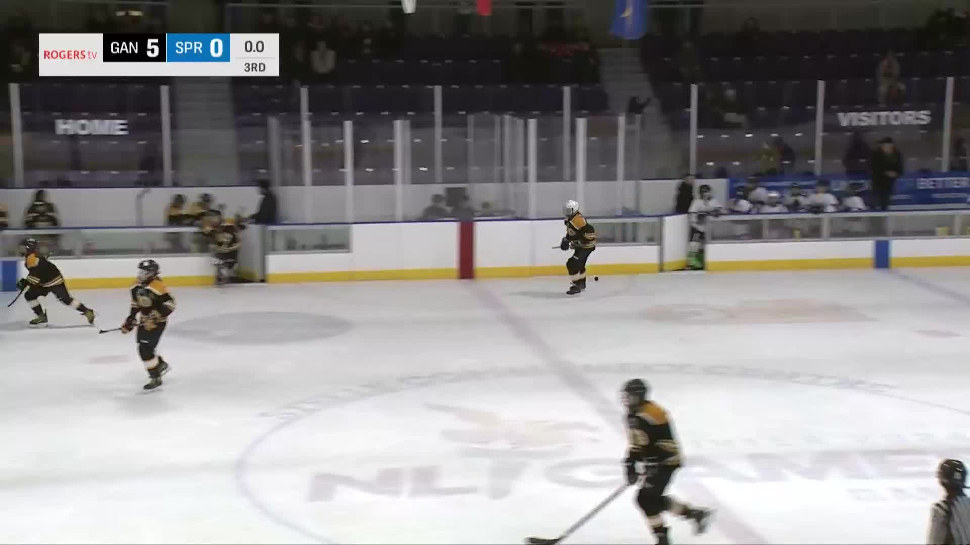 NL Minor Hockey Showcase