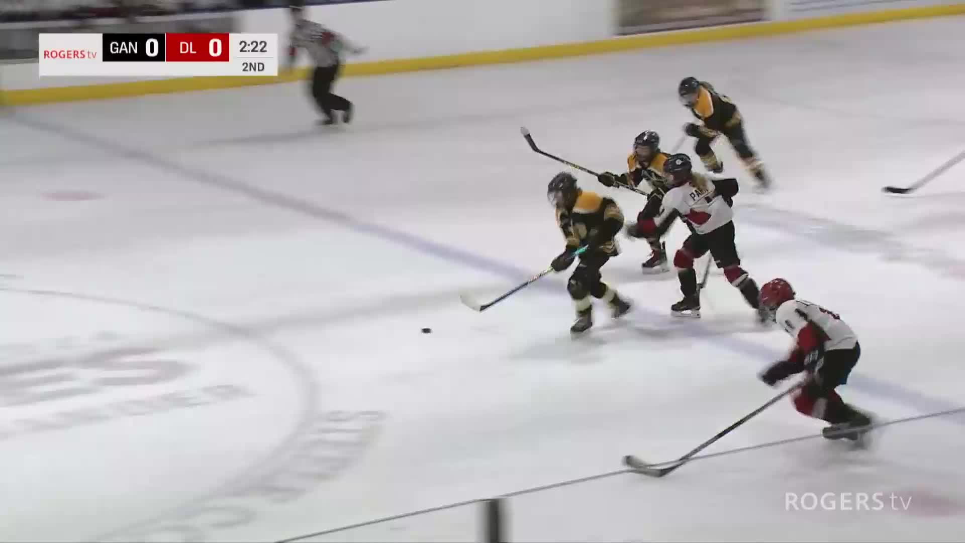NL Minor Hockey Showcase