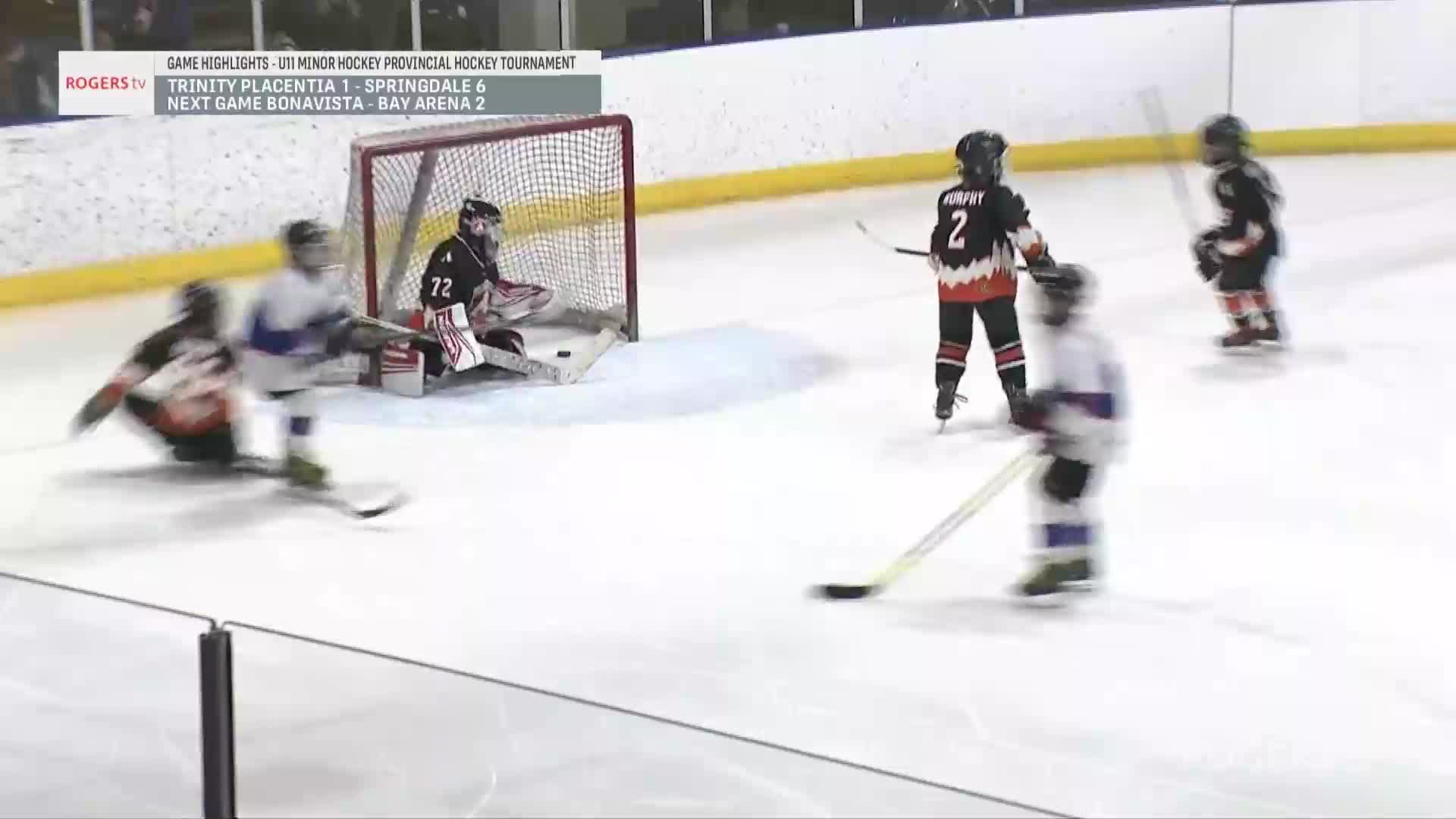 NL Minor Hockey Showcase