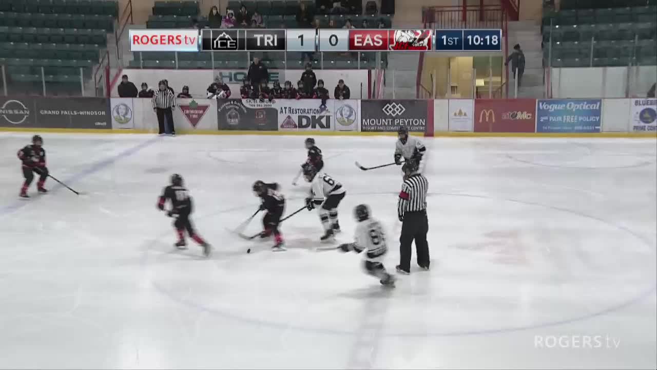 NL - Minor Hockey Showcase GFW