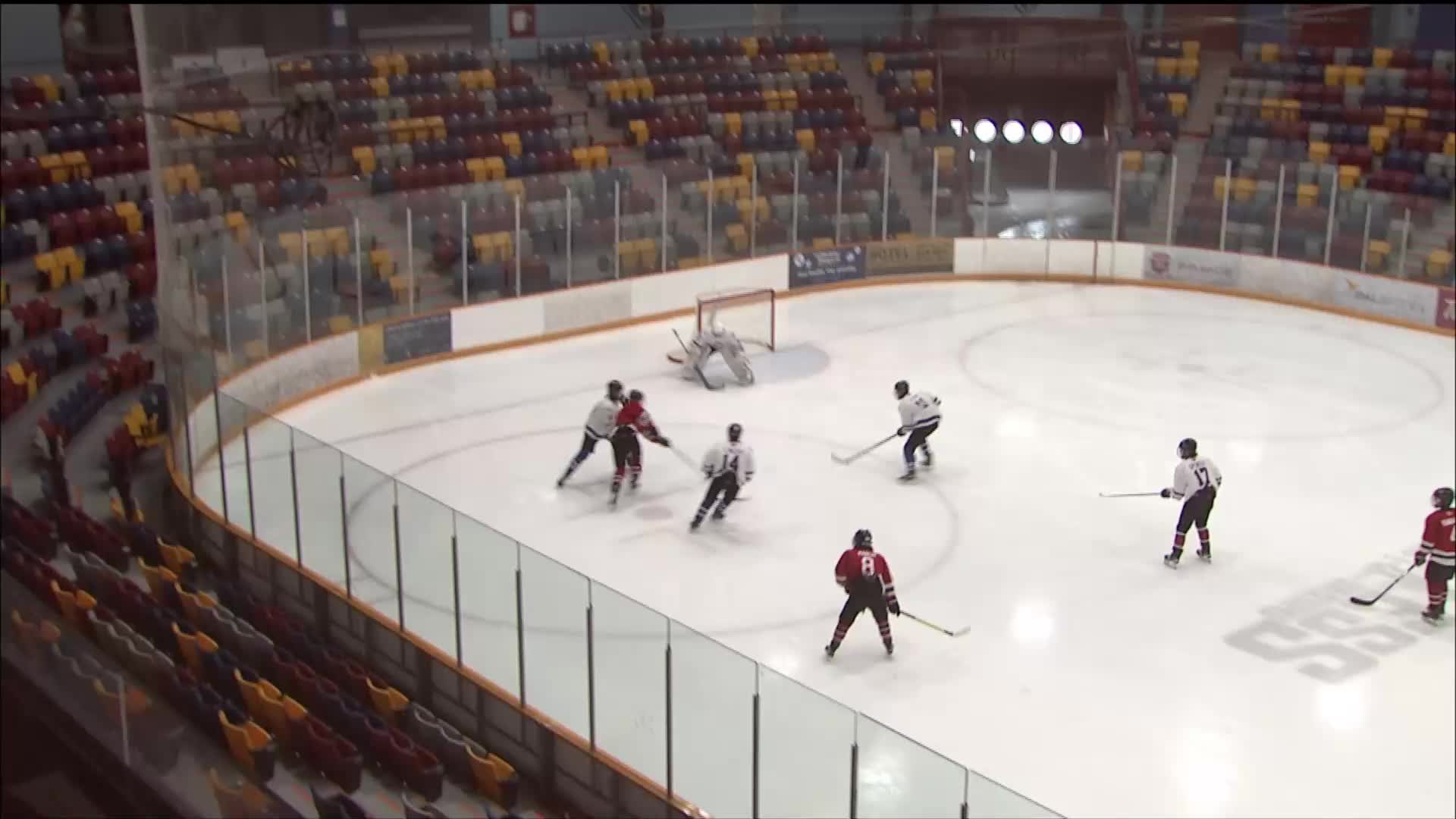 NL Minor Hockey Showcase