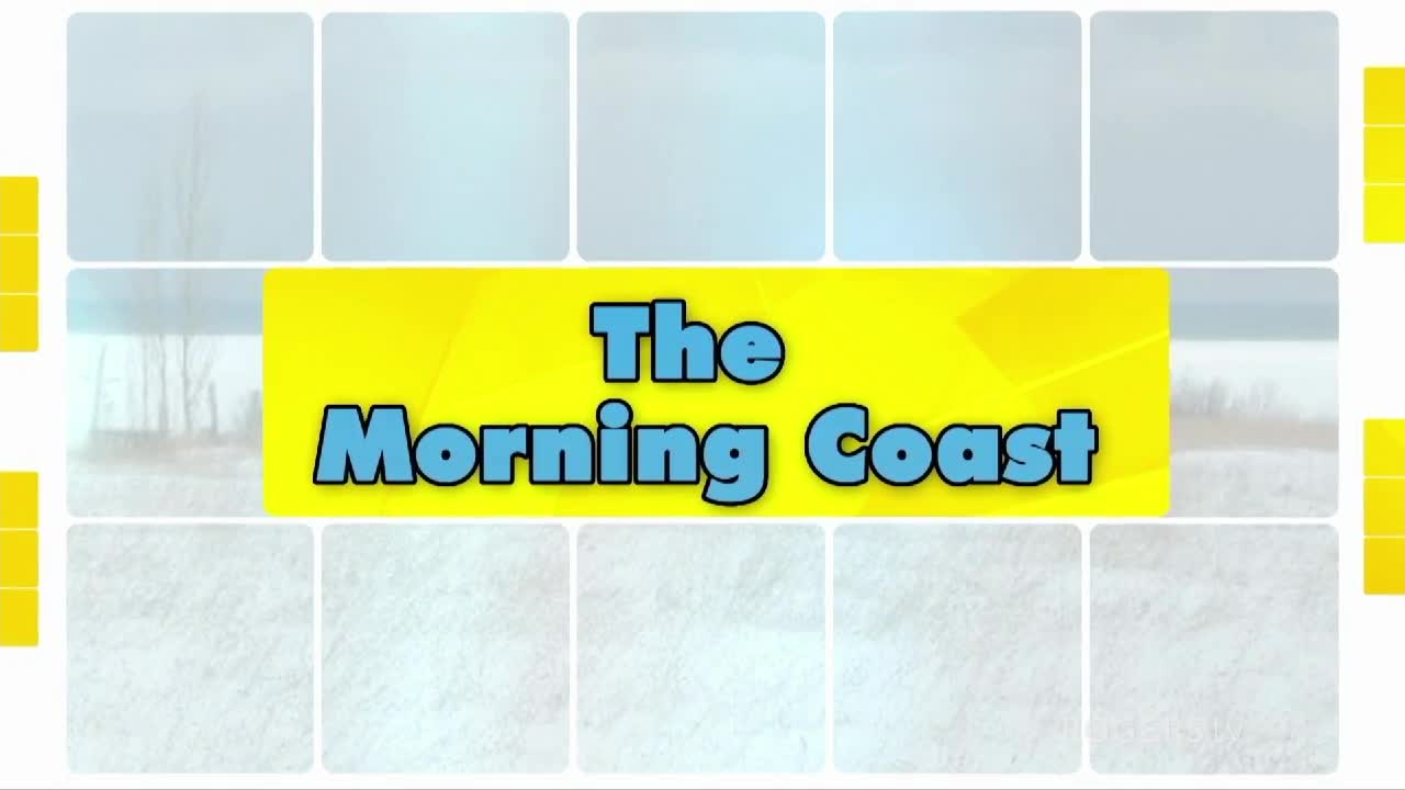 The Morning Coast
